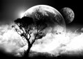 黒と白の雲月の木